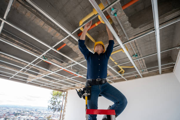 Best Sprinkler Systems  in Federalsburg, MD