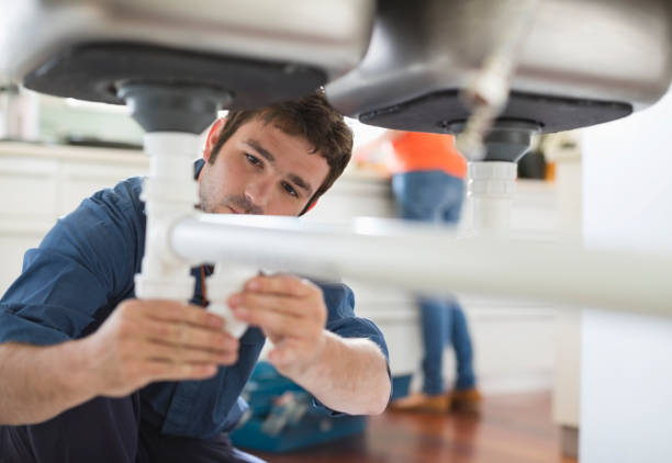 Best Same-Day Plumbing Service  in Federalsburg, MD
